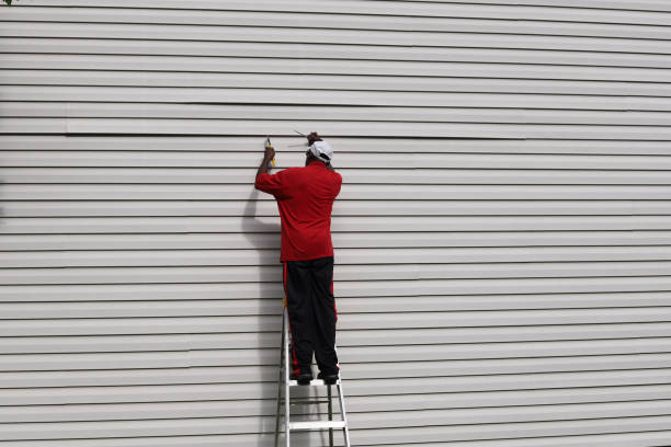 Best Siding Replacement  in Tekamah, NE